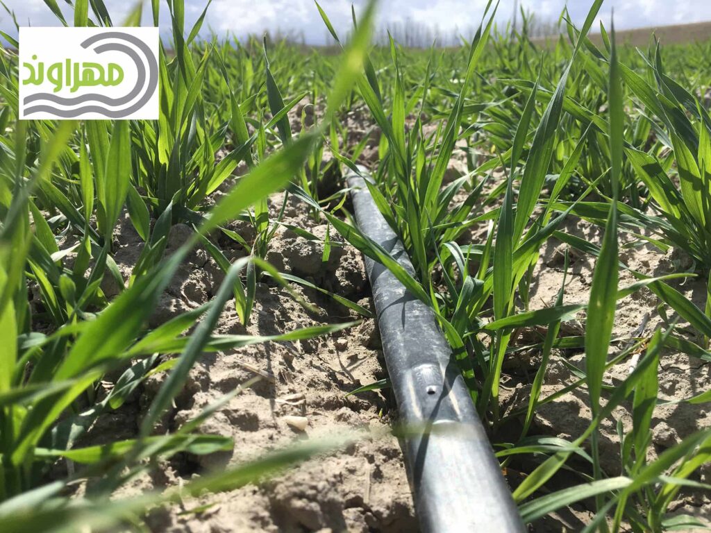 What is the cost of tape for one hectare? What is the cost of tape for one hectare?